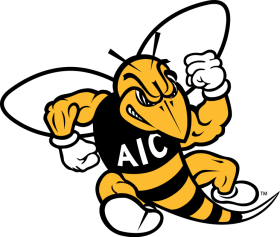 AIC Yellow Jackets 2009-Pres Primary Logo iron on heat transfer