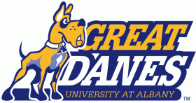 Albany Great Danes 2020-Pres Primary Logo iron on heat transfer