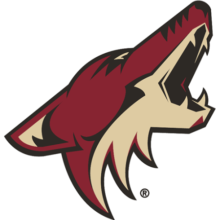 (image for) Arizona Coyotes 2014-Pres Primary Logo iron on heat transfer