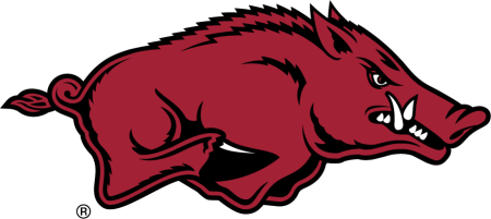 (image for) Arkansas Razorbacks 2014-Pres Primary Logo iron on heat transfer