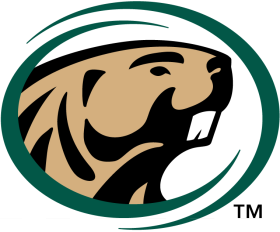 Bemidji State Beavers 2004-Pres Primary Logo iron on heat transfer