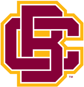 Bethune-Cookman Wildcats 2016-Pres Primary Logo iron on heat transfer