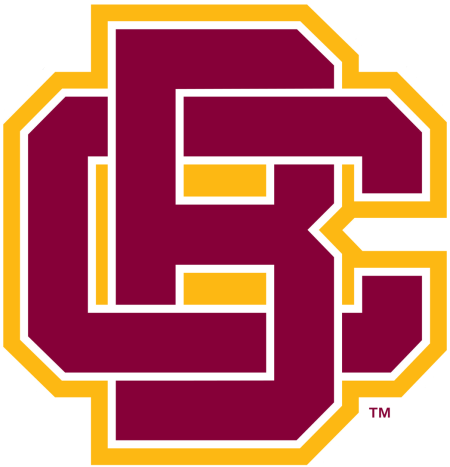 (image for) Bethune-Cookman Wildcats 2016-Pres Primary Logo iron on heat transfer