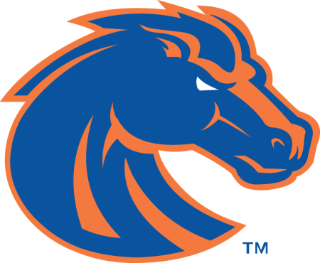 (image for) Boise State Broncos 2013-Pres Primary Logo iron on heat transfer