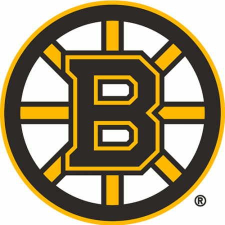 (image for) Boston Bruins 2007-Pres Primary Logo iron on heat transfer