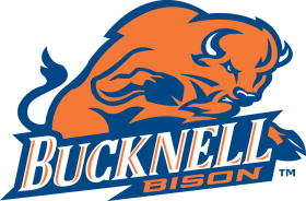 Bucknell Bison 2002-Pres Primary Logo iron on heat transfer