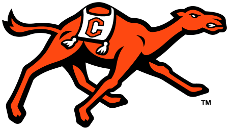 (image for) Campbell Fighting Camels 2023-Pres Primary Logo iron on heat transfer