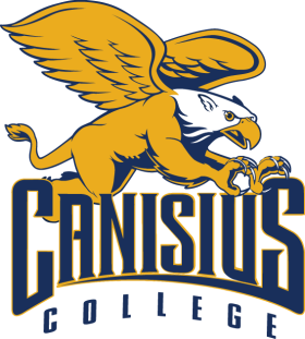 (image for) Canisius Golden Griffins 2006-Pres Primary Logo iron on heat transfer