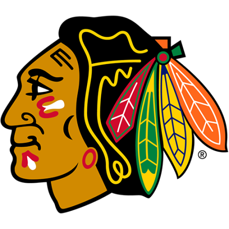 (image for) Chicago Blackhawks 1999-Pres Primary Logo iron on heat transfer