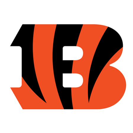 (image for) Cincinnati Bengals 2004-Pres Primary Logo iron on heat transfer