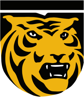 Colorado College Tigers 1978-Pres Primary Logo iron on heat transfer