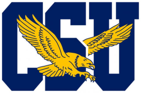 Coppin State Eagles 2017-Pres Primary Logo iron on heat transfer