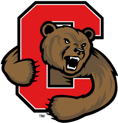 (image for) Cornell Big Red 2002-Pres Primary Logo iron on heat transfer