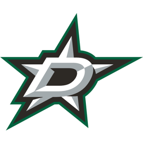 Dallas Stars 2013-Pres Primary Logo iron on heat transfer