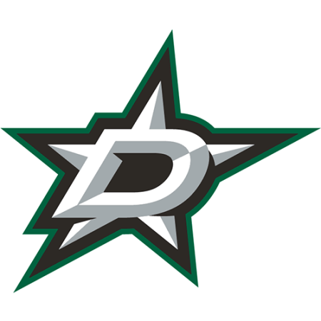 (image for) Dallas Stars 2013-Pres Primary Logo iron on heat transfer