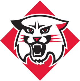 Davidson Wildcats 2010-Pres Primary Logo iron on heat transfer