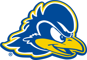 Delaware Blue Hens 2018-Pres Primary Logo iron on heat transfer