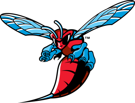 (image for) Delaware State Hornets 2004-Pres Primary Logo iron on heat transfer