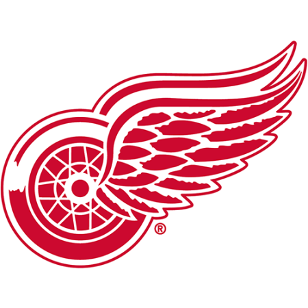 (image for) Detroit Red Wings 1948-Pres Primary Logo iron on heat transfer