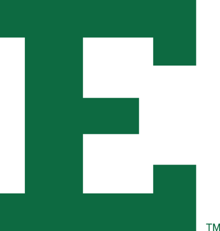 (image for) Eastern Michigan Eagles 2013-Pres Primary Logo iron on heat transfer