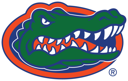 (image for) Florida Gators 2013-Pres Primary Logo iron on heat transfer