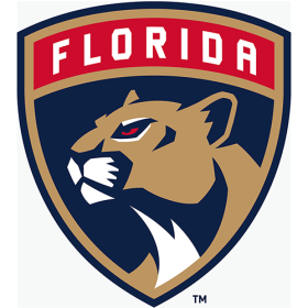 Florida Panthers 2016-Pres Primary Logo iron on heat transfer