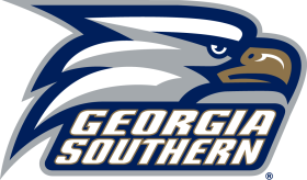 Georgia Southern Eagles 2010-Pres Primary Logo iron on heat transfer