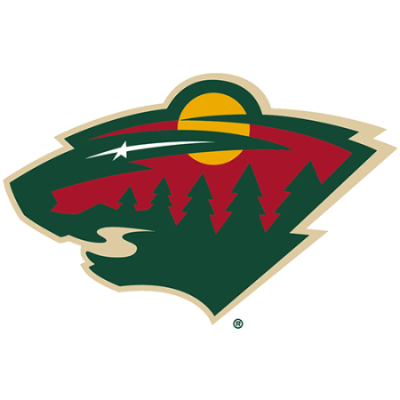 (image for) Minnesota Wild 2013-Pres Primary Logo iron on heat transfer