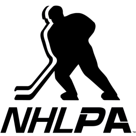 NHLPA 2013-Pres Primary Logo iron on heat transfer