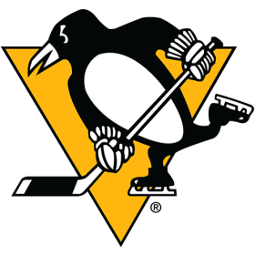 Pittsburgh Penguins 2016-Pres Primary Logo iron on heat transfer