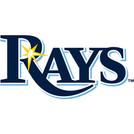 (image for) Tampa Bay Rays 2019-pres primary logo iron on heat transfer